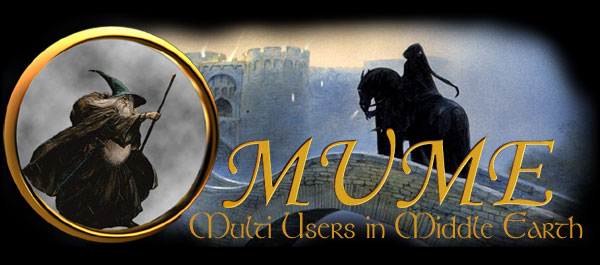 Multi-Users in Middle-earth